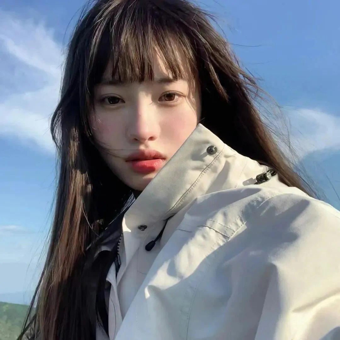 棕榈树森林